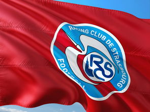 杏彩体育直播-帕尔梅拉斯新援首秀引期待，世俱杯表现备受关注