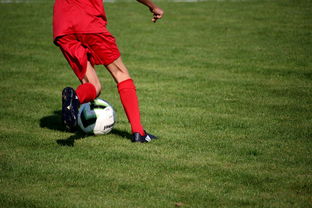 杏彩体育app下载-蒙特雷伤病恢复进展顺利，期待发挥