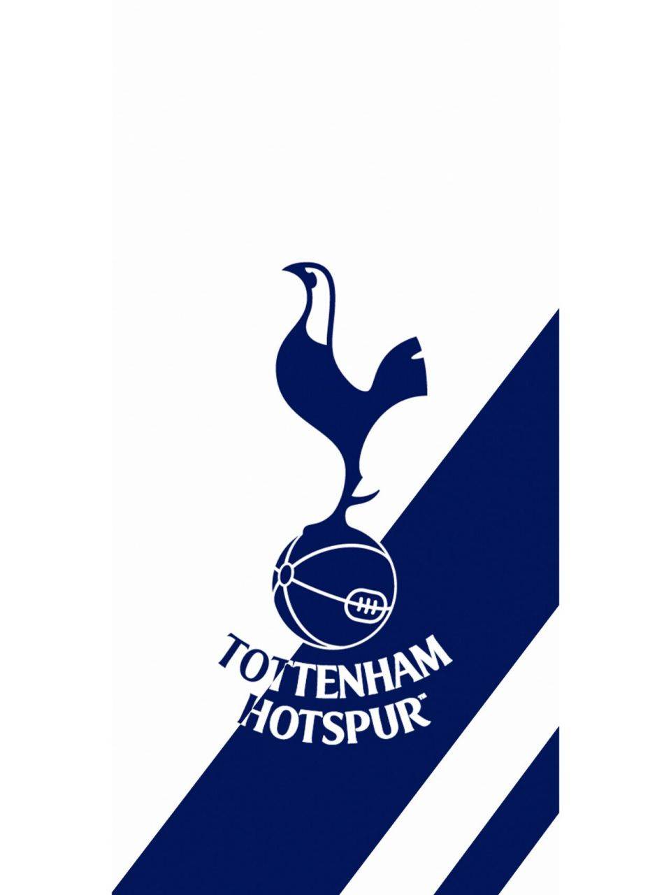 杏彩体育在线登录-关于热刺力拒强敌迎接挑战的考验的信息